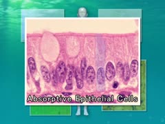 【全巻セット】Visual Basic Medicine 2nd Edition全13巻