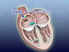 【全巻セット】病気の基礎知識 病気の成因・病態と治療DVD全10巻