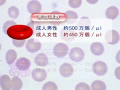 【全巻セット】病気の基礎知識 病気の成因・病態と治療DVD全10巻