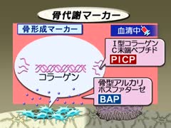【全巻セット】目で見る医学の基礎 第2版DVD13巻