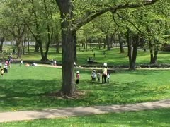 【全巻セット】人体を学ぶための理科DVD全9巻