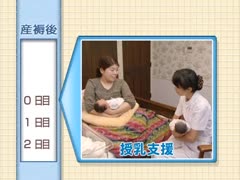 【全巻セット】産褥経過のアセスメントと支援の実際DVD全4巻