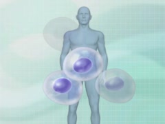 【全巻セット】看護のための病態生理とアセスメントDVD全14巻