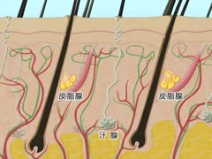 【全巻セット】実践!看護技術シリーズDVD全25巻