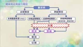 【全巻セット】看護ケアに役立つDVD全3巻