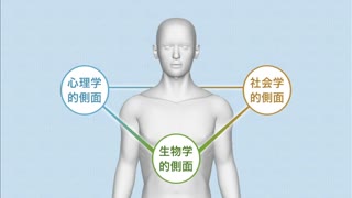【全巻セット】生体のしくみ 第3版DVD全20巻