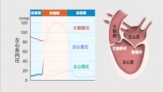 【全巻セット】生体のしくみ 第3版DVD全20巻