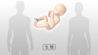 【全巻セット】生体のしくみ 第3版DVD全20巻