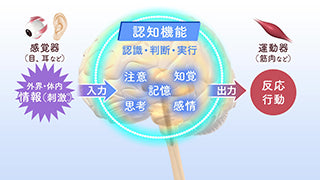 【全巻セット】看護実践のための精神看護DVD全4巻