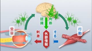 【全巻セット】生命の科学 第2版DVD全8巻