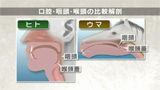 【全巻セット】リハビリテーション医学 第2版DVD全20巻