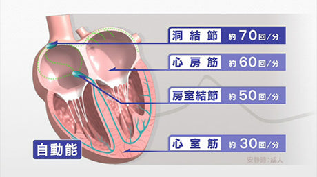 【全巻セット】目で見る薬理学入門 第3版DVD12巻