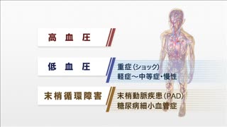 【全巻セット】目で見る薬理学入門 第3版DVD12巻