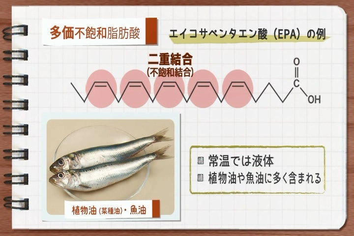 【全巻セット】やさしい栄養学 第4版DVD全5巻