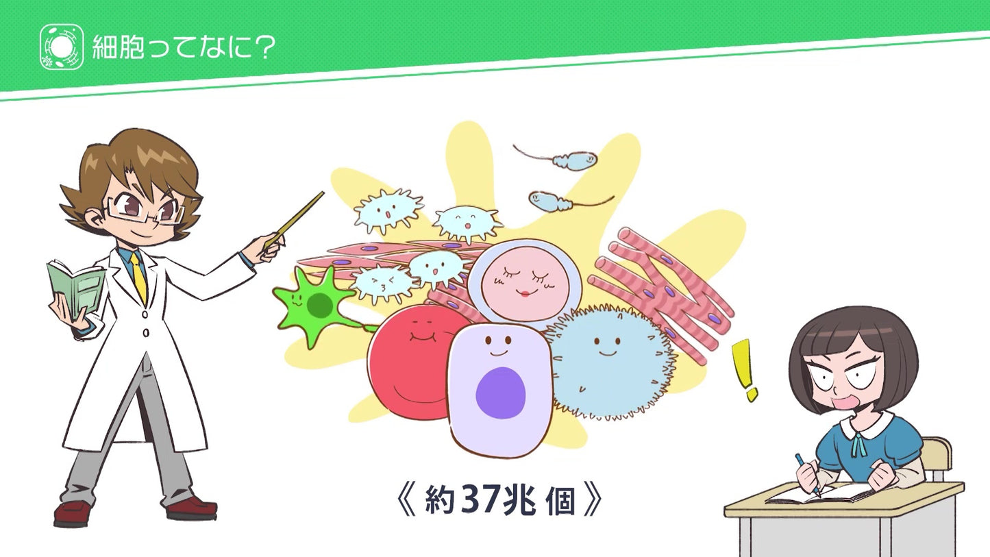 【全巻セット】こっそり学ぶ!はじめての理科DVD全6巻【生物】