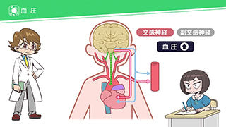 【全巻セット】こっそり学ぶ!はじめての理科DVD全6巻【生物】
