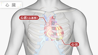 目で見る解剖と生理 第3版 [Vol.03] 循環器系Ⅰ　心臓
