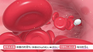 目で見る解剖と生理 第3版 [Vol.05] 血液