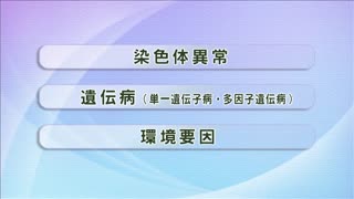 目で見る子どもの保健 [Vol.01] 先天異常