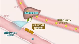 【全巻セット】目で見る新生児看護DVD全4巻