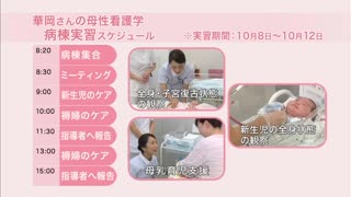 【全巻セット】看護過程から学ぶ！ 母性看護学実習DVD全4巻