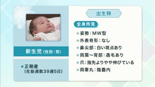 看護過程から学ぶ！ 母性看護学実習 [Vol.03] 新生児の子宮外生活への適応の看護