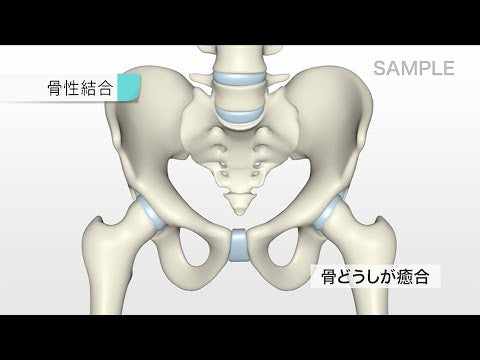 生体のしくみ 第3版 [Vol.07] 身体運動のしくみ１ – 医学映像教育センター 公式オンラインショップ